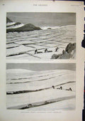 Original Old Antique Print Lieutenant Garde 1894 Expedition Greenland Ice Sledge