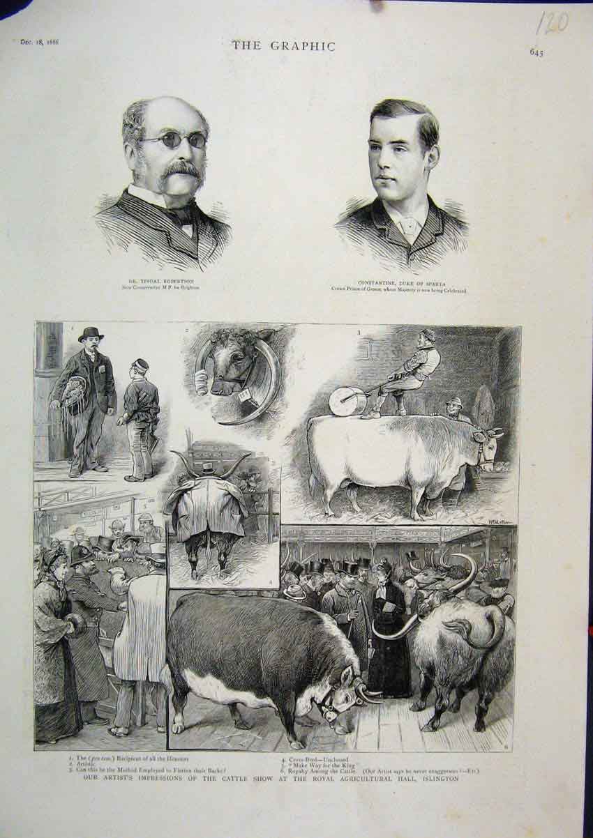 Original Old Antique Print 1886 Cattle Show Agricultural Show Islington Tindal
