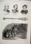 Old Antique Print 1887 Lion Cubs Dublin Zoological Gardens Mace Brighton 19th