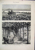 Original Old Antique Print 1878 Congo River Coast Africa Vinery English Trading