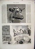 Original Old Antique Print New Siers Seamens Home Chatham 1877 Duchess Geneva