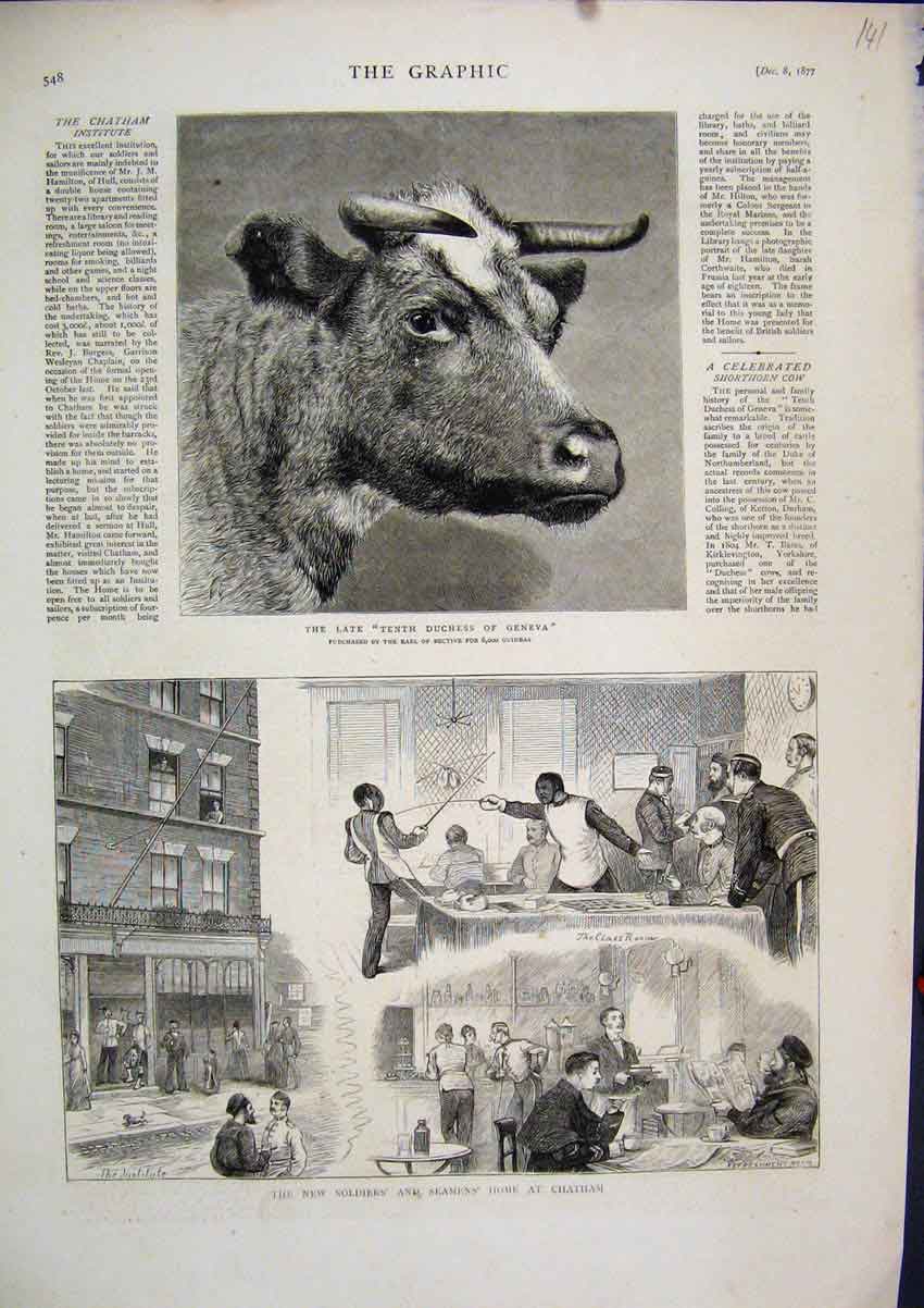 Original Old Antique Print New Siers Seamens Home Chatham 1877 Duchess Geneva
