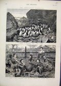 Original Old Antique Print 1876 Challenger Expedition Penguins Tristan Sailors