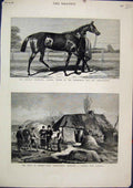 Original Old Antique Print 1881 American Racehorse Foxhall Cesaerwitch Limercik