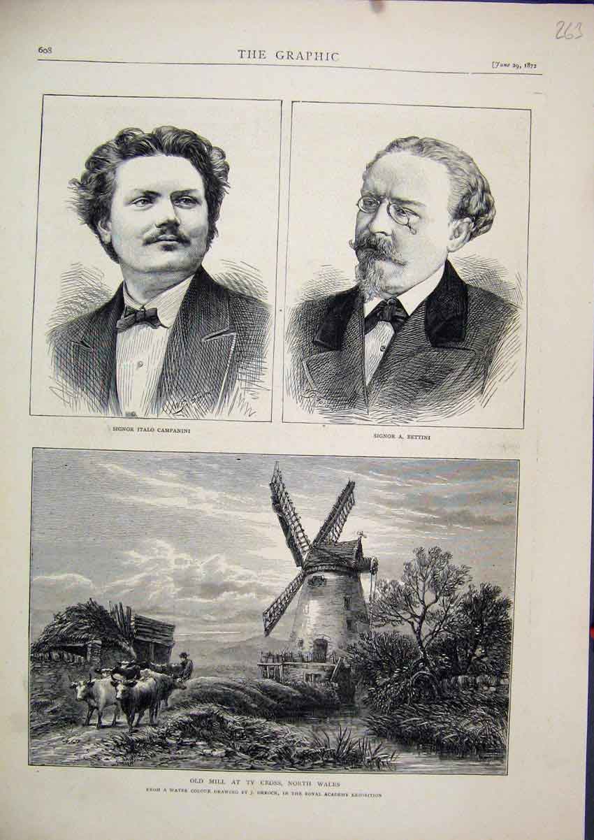 Old Antique Print 1872 Mill Ty Cross North Wales Italo Campanini Bettini 19th