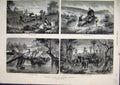 Old Antique Print 1881 South Africa Lynx Plains Fire Elephants Manekango 19th