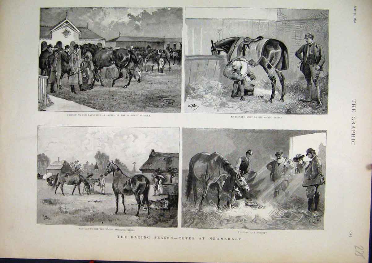 Old Antique Print 1890 Horse Racing Newmarket Nursery Foal Stable Sketch 19th