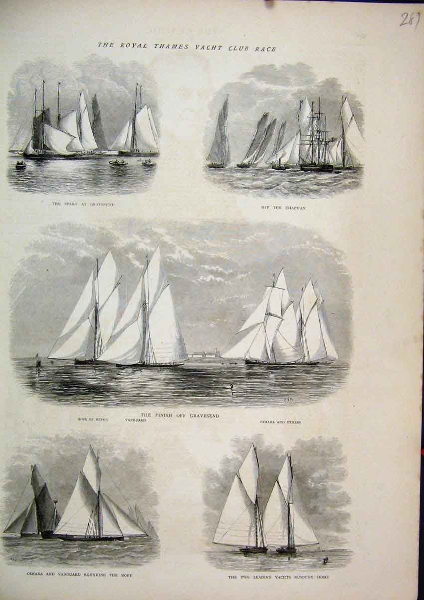 Original Old Antique Print 1886 Judging Sheep Cattle Show Curious Mirage Madras