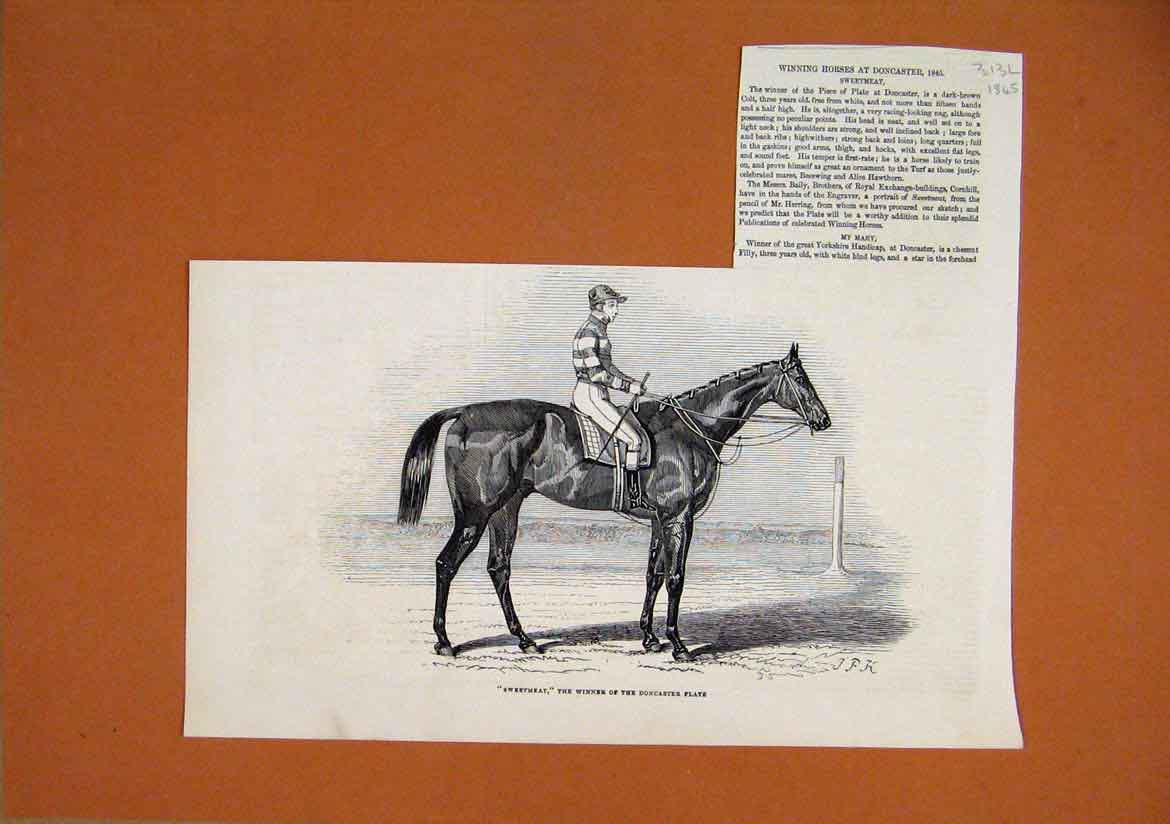 Original Old Antique Print 1845 Hore Sweetmeat Winner Doncaster Plate Victorian