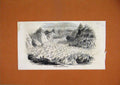 Original Old Antique Print 1844 Great Glacier Lauteraar Ice Mountain Victorian