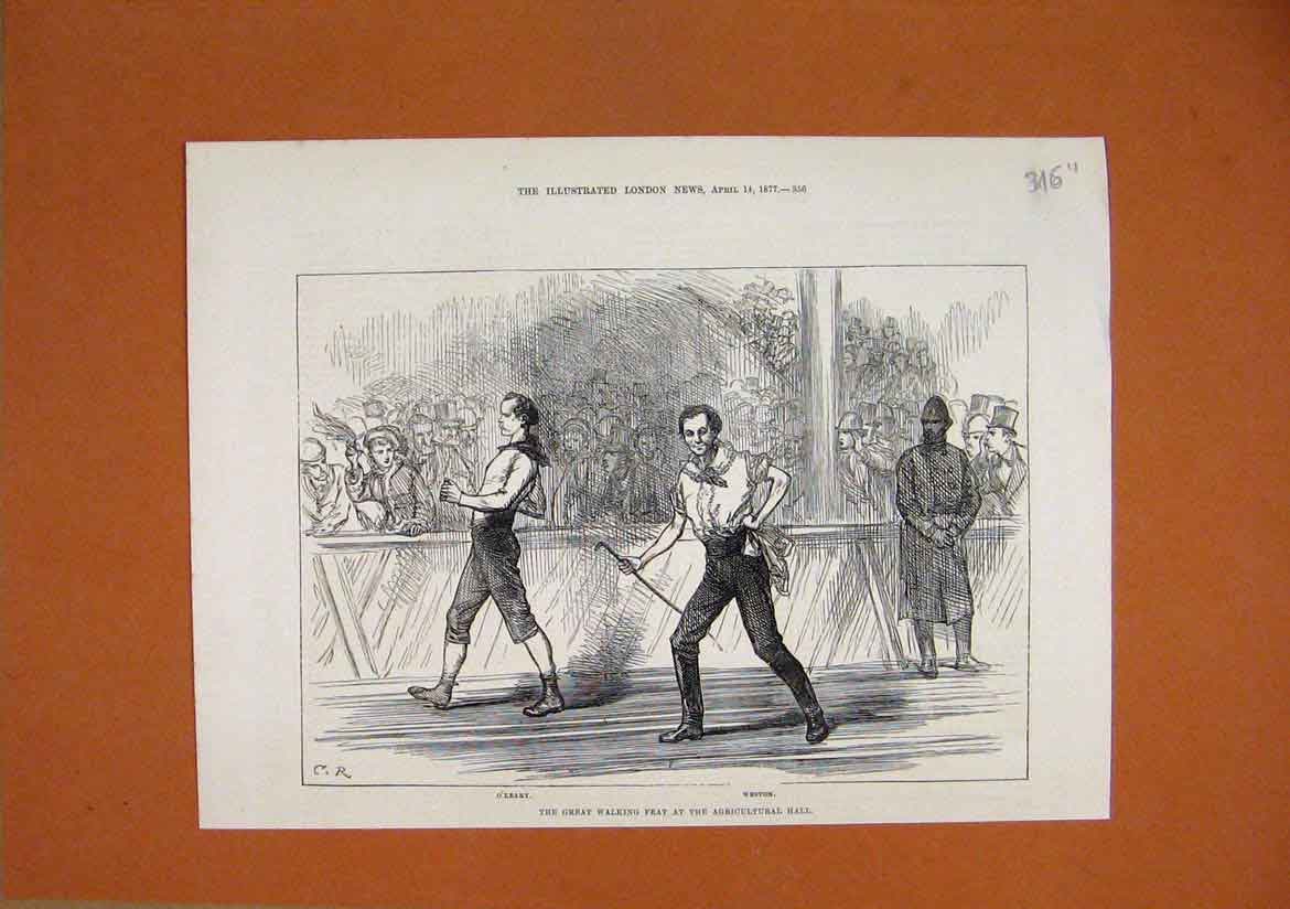 Old Antique Print 1877 Great Walking Feat Agricultural Hall Weston Oleary 19th