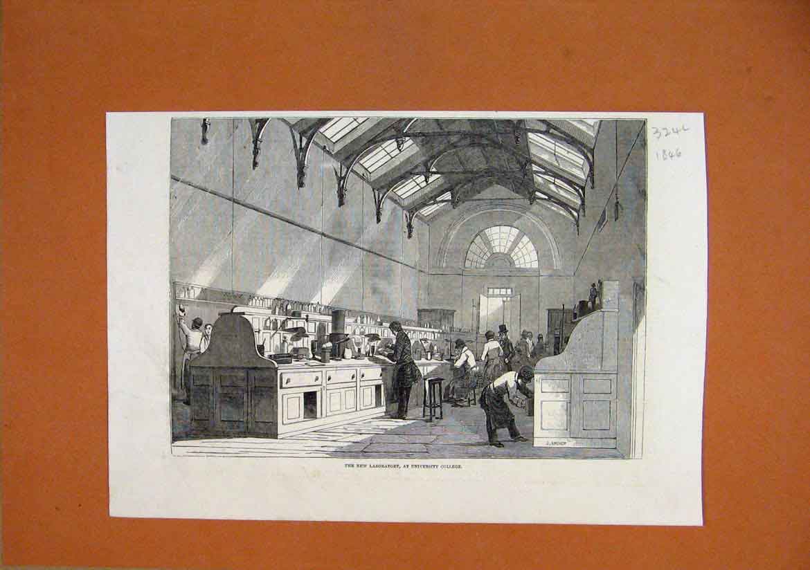 Original Old Antique Print 1846 New Laboratory University College Victorian