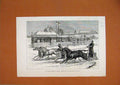 Old Antique Print 1882 Horse Racing Irkutsk Siberia Sledging Snow Sketch 19th