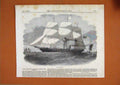 Old Antique Print 1856 Australian Auxiliary Steam-Clipper Ship Istanboul 19th