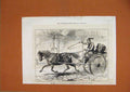 Original Old Antique Print 1876 War Town-Crier Alexinatz Evacuation Horse Cart