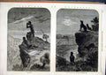 Original Old Antique Print Sketches Australia 1863 Dingoes Prowling Sheep Cliff