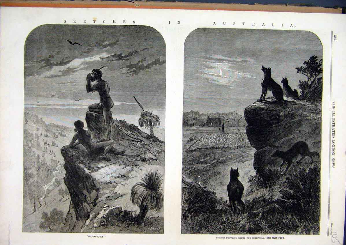 Original Old Antique Print Sketches Australia 1863 Dingoes Prowling Sheep Cliff
