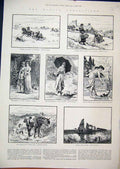 Old Antique Print 1884 Hunting Poland Cornish Drying Ground Kittens Pony 19th