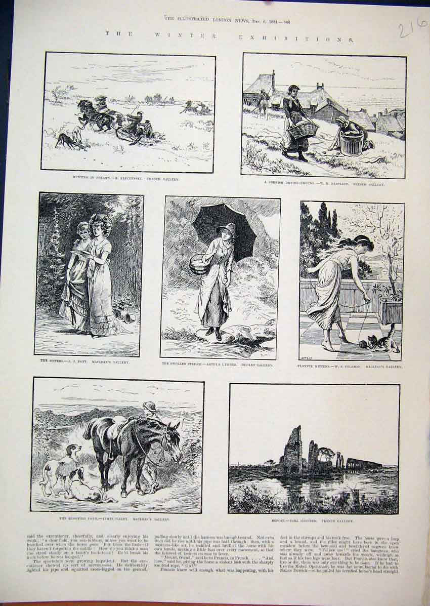 Old Antique Print 1884 Hunting Poland Cornish Drying Ground Kittens Pony 19th