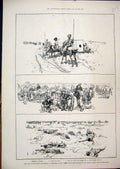 Original Old Antique Print 1885 War Soudan Zerebra Wounded Horse Siers Sketch