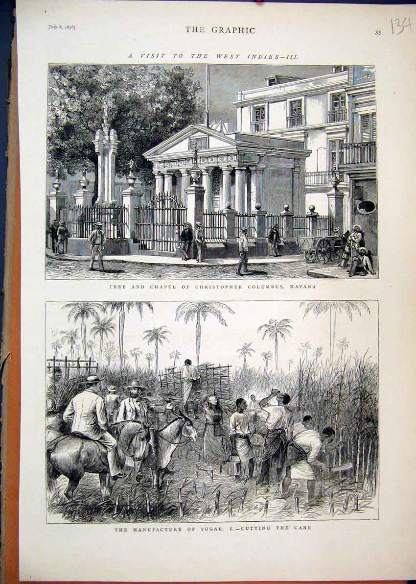 Old Antique Print West Indies 1876 Tree Chapel Christopher Columbus Cane 19th