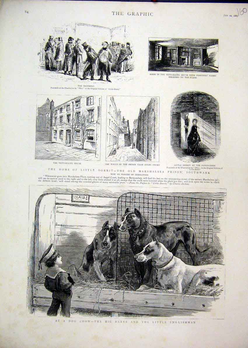 Original Old Antique Print 1887 Dog Show Danes Dorrit Marshalsea Prison Angel