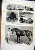 Original Old Antique Print 1884 Simon Horse Goodwood Cup Bennett Atlantic Cable