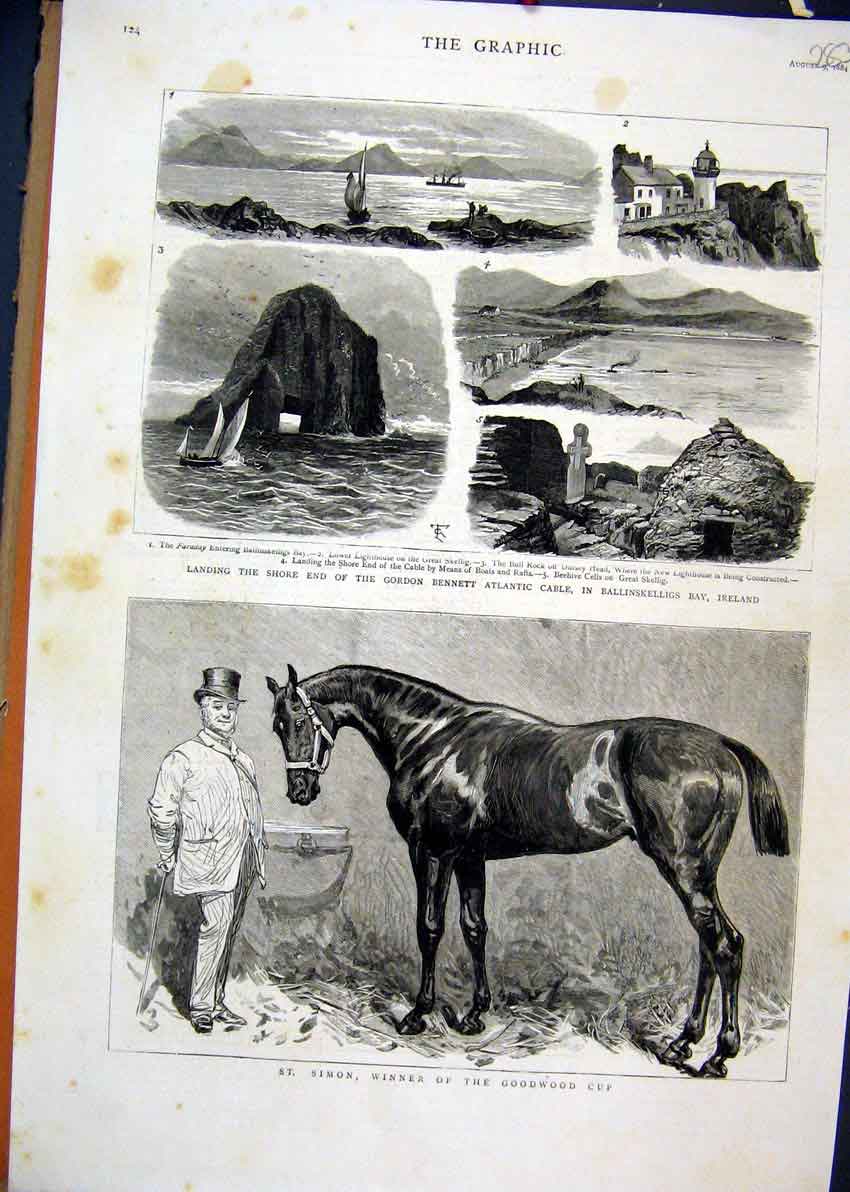 Original Old Antique Print 1884 Simon Horse Goodwood Cup Bennett Atlantic Cable
