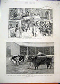 Old Antique Print 1892 Coal Crisis Queen Sale Cattle Prince Consort Farm 19th