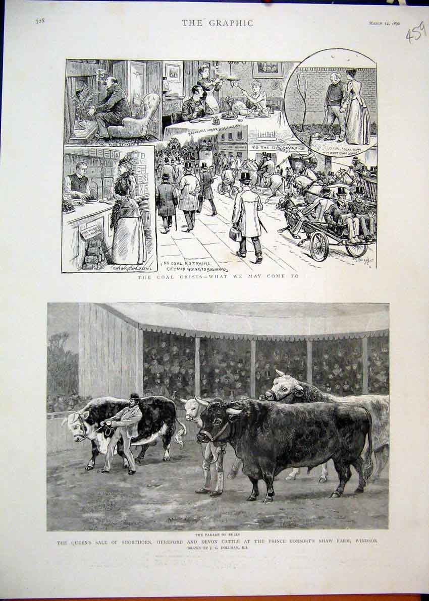 Old Antique Print 1892 Coal Crisis Queen Sale Cattle Prince Consort Farm 19th