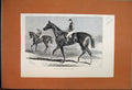 Original Old Antique Print 1883 St Blaise Derby Winner Racehorse Jockey 19th