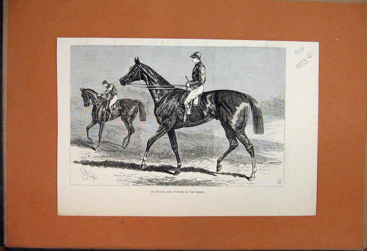 Original Old Antique Print 1883 St Blaise Derby Winner Racehorse Jockey 19th
