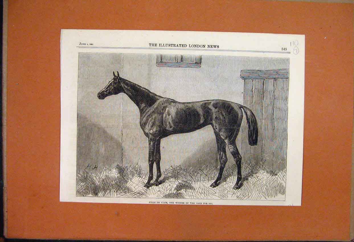 Original Old Antique Print 1864 Fille De L'Air Racehorse Winner The Oaks 19th