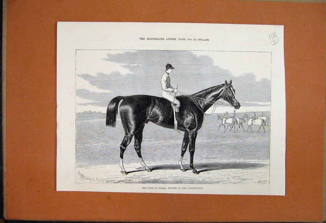 Original Old Antique Print 1875 The Duke Parma Winner Cesarewitch Racehorse 19th