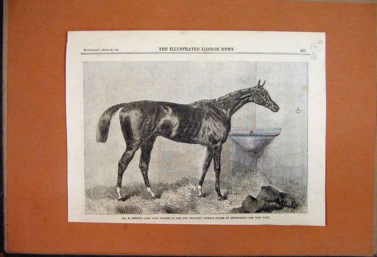Original Old Antique Print 1866 Mr Sutton Lord Lyon Racehorse Winner Newmarket