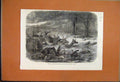 Original Old Antique Print 1866 Deer Bears Fox Taking Refuge Prairie Fire River