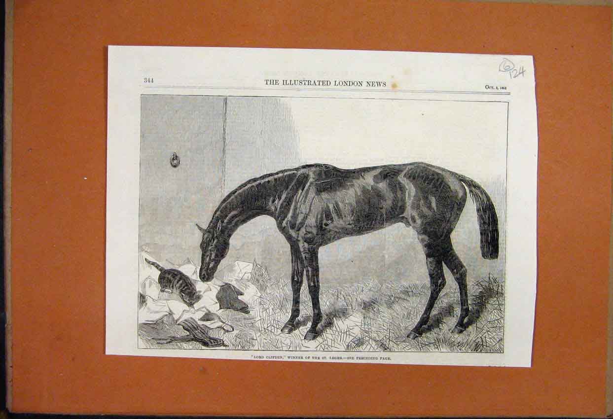 Original Old Antique Print 1863 Lord Clifden Racehorse Winner St Leger Cat 19th