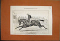 Original Old Antique Print 1876 Rosebery Horse Winner Cesarewitch Stakes 19th