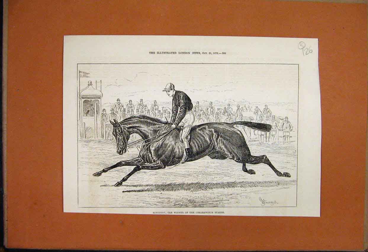 Original Old Antique Print 1876 Rosebery Horse Winner Cesarewitch Stakes 19th