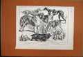 Old Antique Print 1888 Dogs Bulldog Spaniel Irish Setter St Bernard Yorky 19th