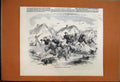Original Old Antique Print 1855 Foraging Party Village Kinburn Pigs Geese Guns