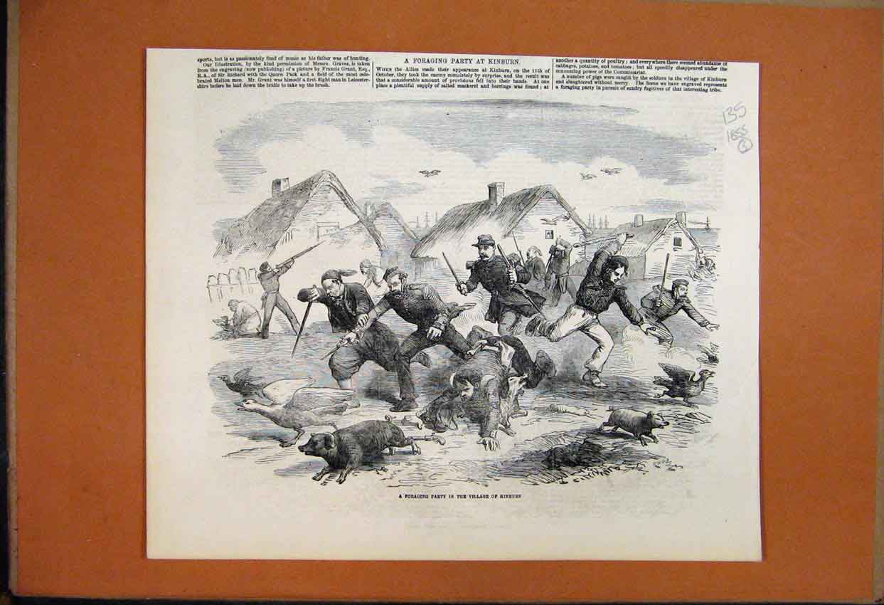 Original Old Antique Print 1855 Foraging Party Village Kinburn Pigs Geese Guns