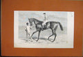 Original Old Antique Print 1886 Ormonde Winner Derby Racehorse Jockey Victorian