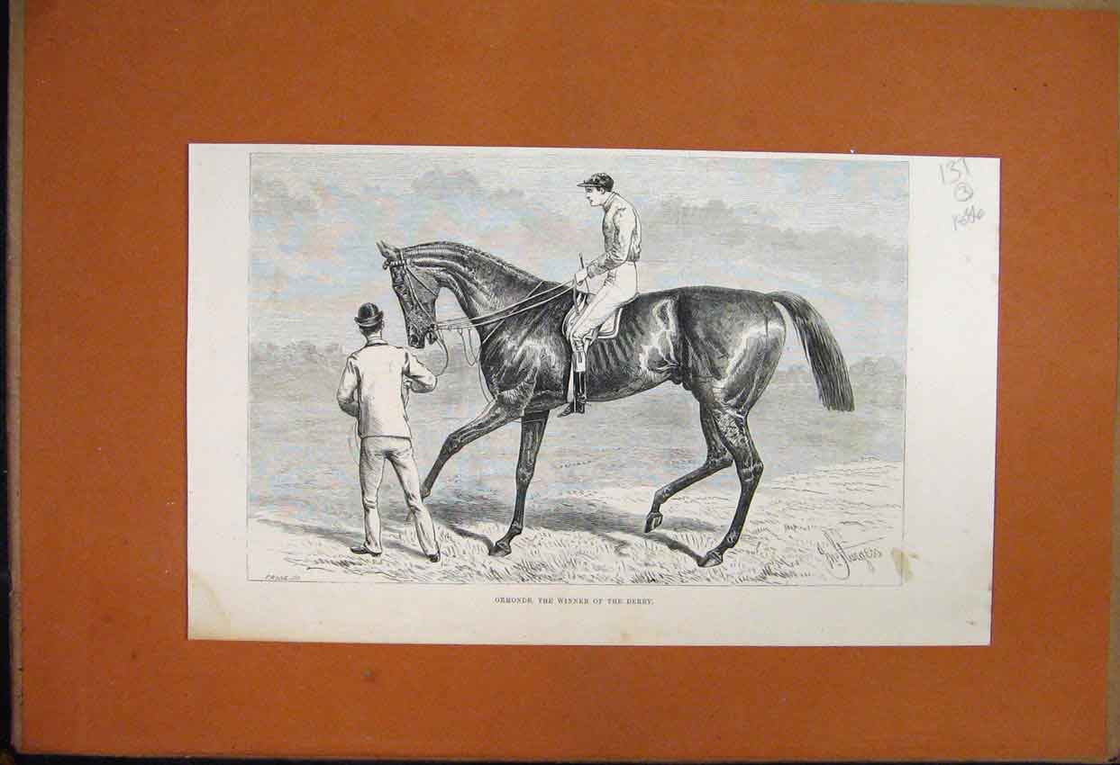 Original Old Antique Print 1886 Ormonde Winner Derby Racehorse Jockey Victorian