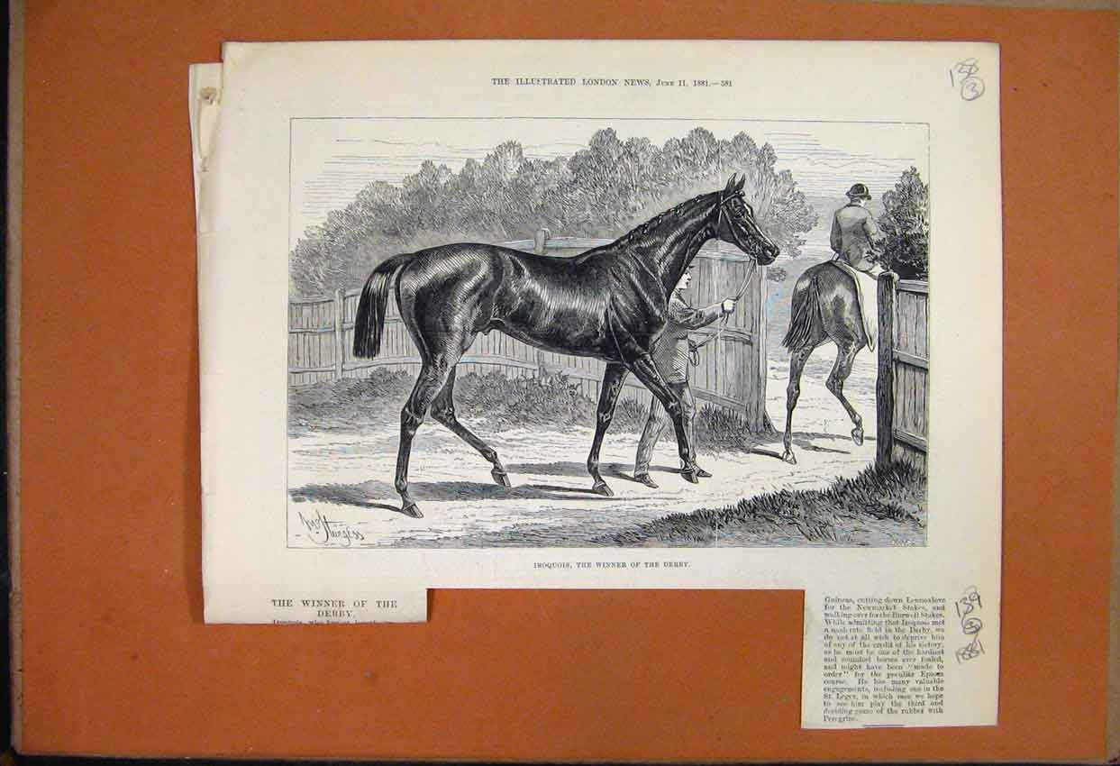 Original Old Antique Print 1881 Iroquois Winner Derby Racehorse With Text 19th