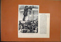 Original Old Antique Print 1881 Swarm Bees Wellington Street Strand Audience