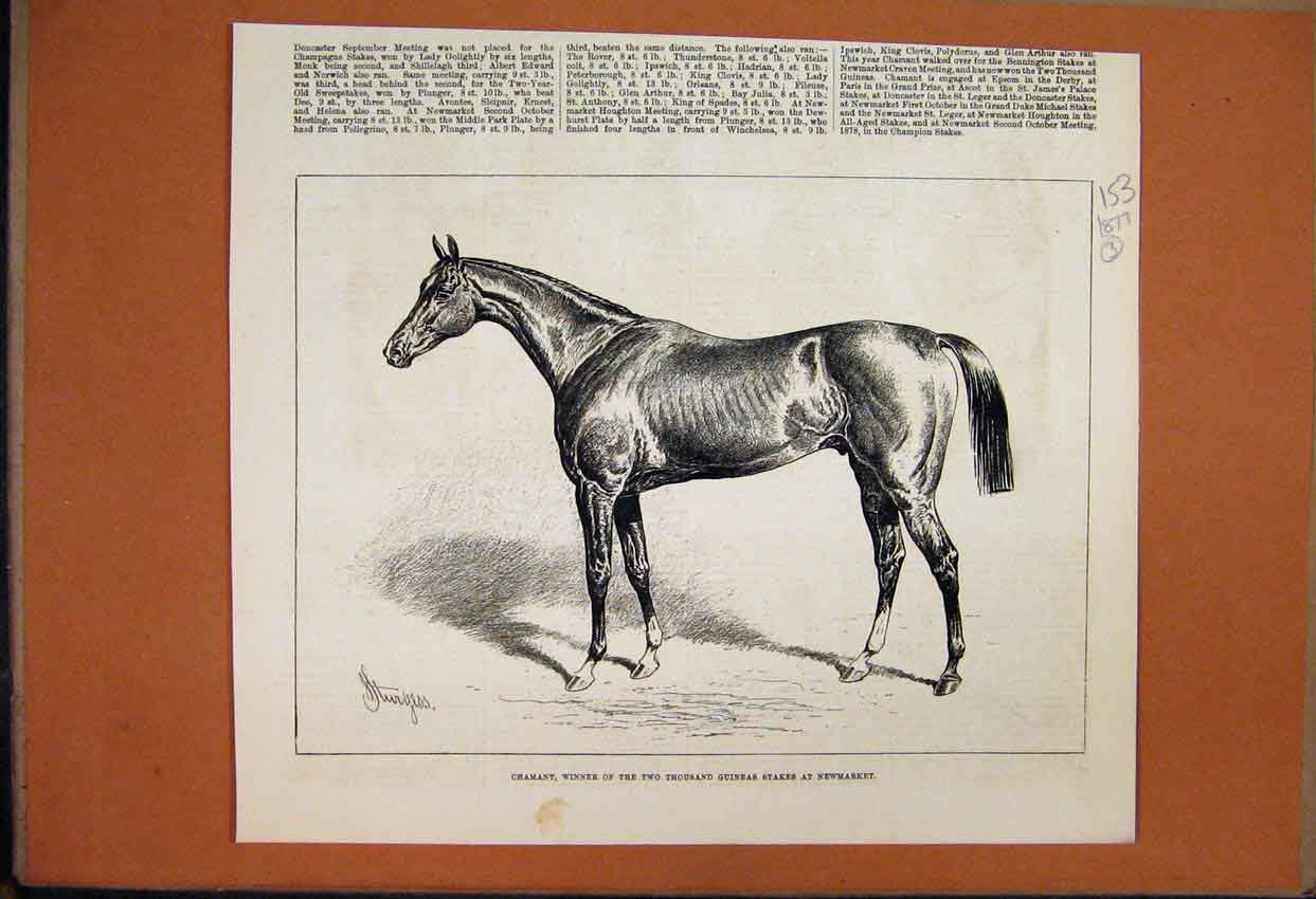 Original Old Antique Print 1877 Chamant Horse Guineas Stakes Newmarket Victorian