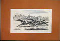 Original Old Antique Print 1857 Cesarewitch Stakes Deciding Heat Horses 19th