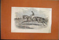 Original Old Antique Print 1857 Nichols Newminster Horse Doncaster St Leger 19th