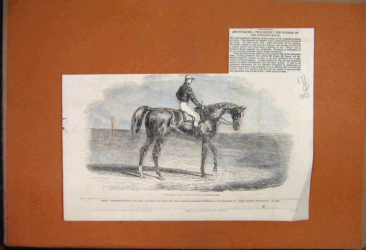 Original Old Antique Print 1851 Ascot Races Woolwich Winner Emperors Plate 19th